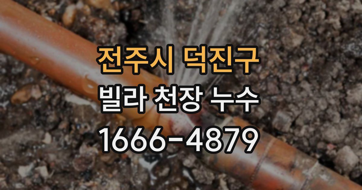 전주시 덕진구 빌라 천장 누수