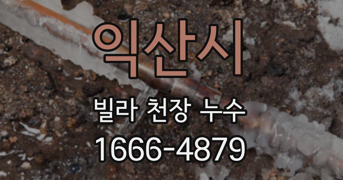 익산시 빌라 천장 누수