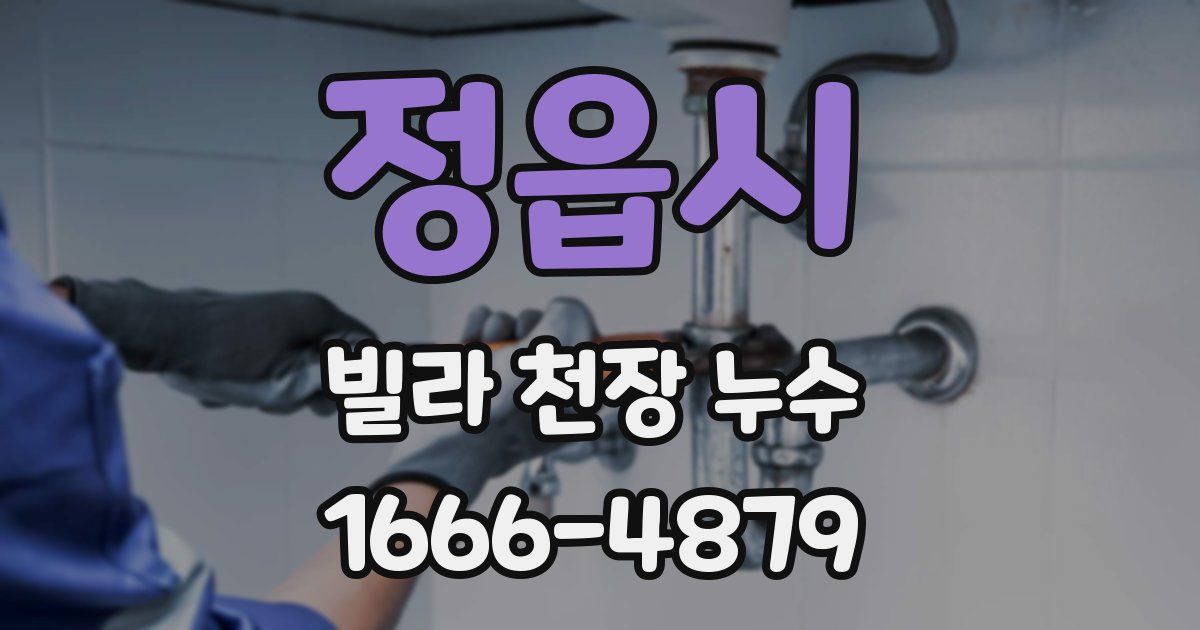 정읍시 빌라 천장 누수