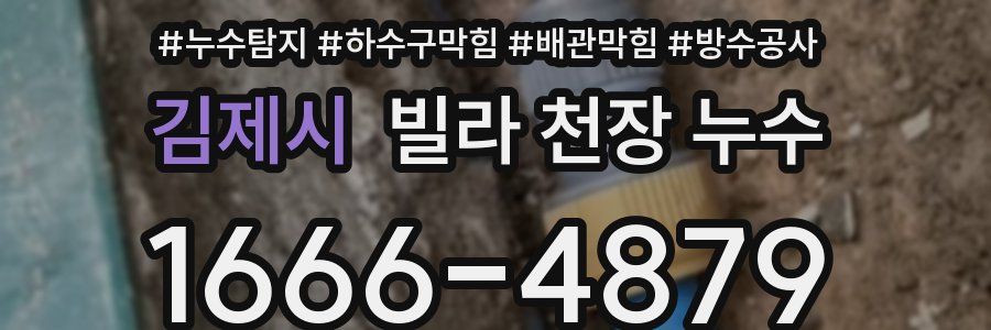 김제시 빌라 천장 누수