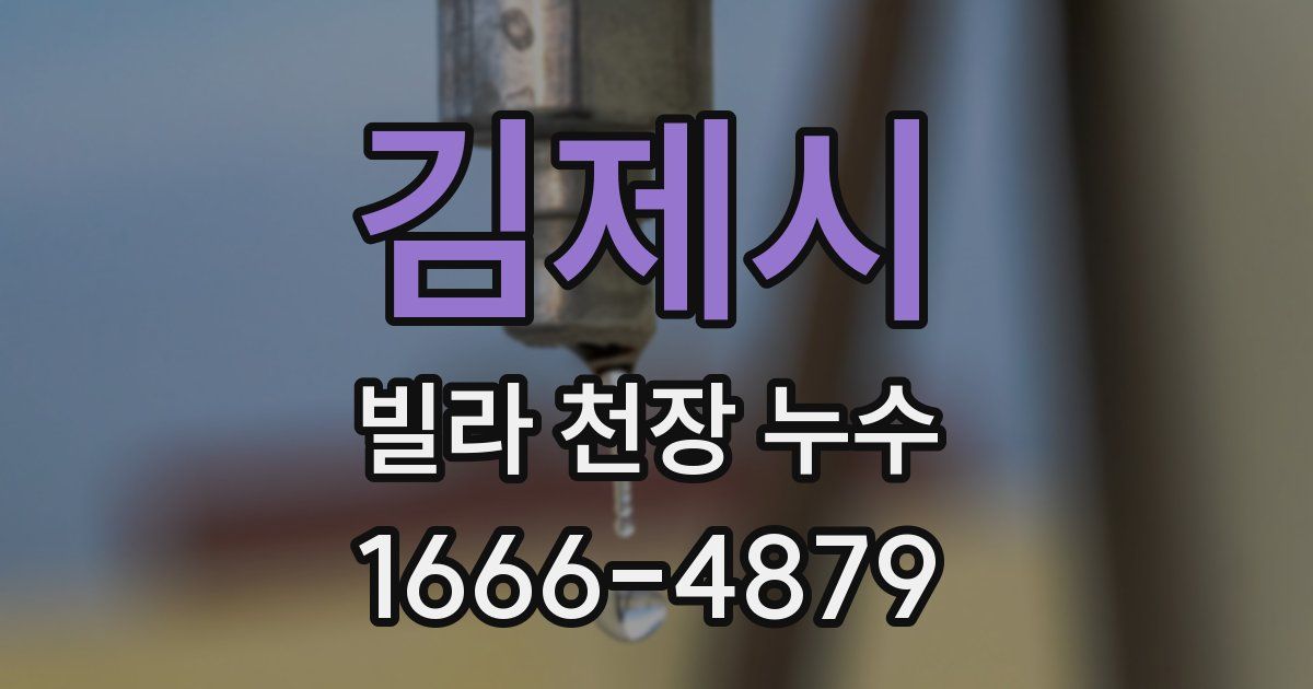 김제시 빌라 천장 누수