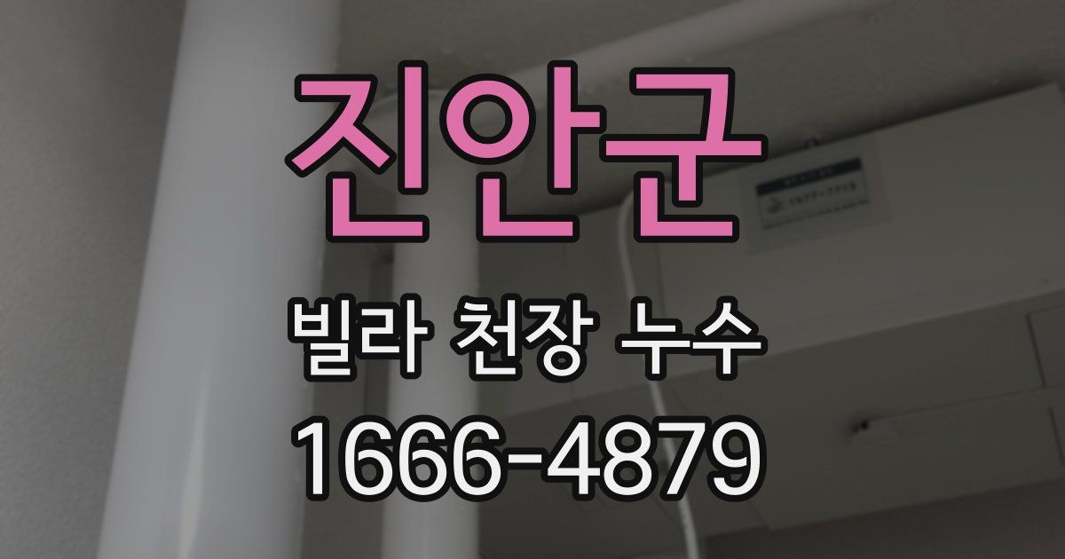 진안군 빌라 천장 누수