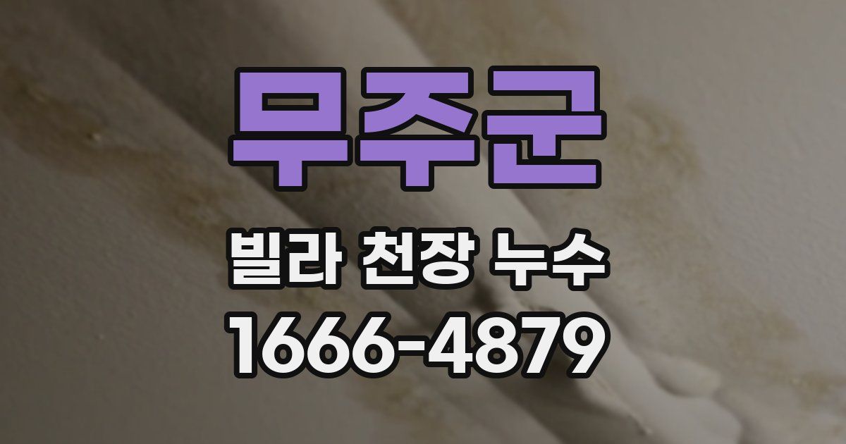 무주군 빌라 천장 누수