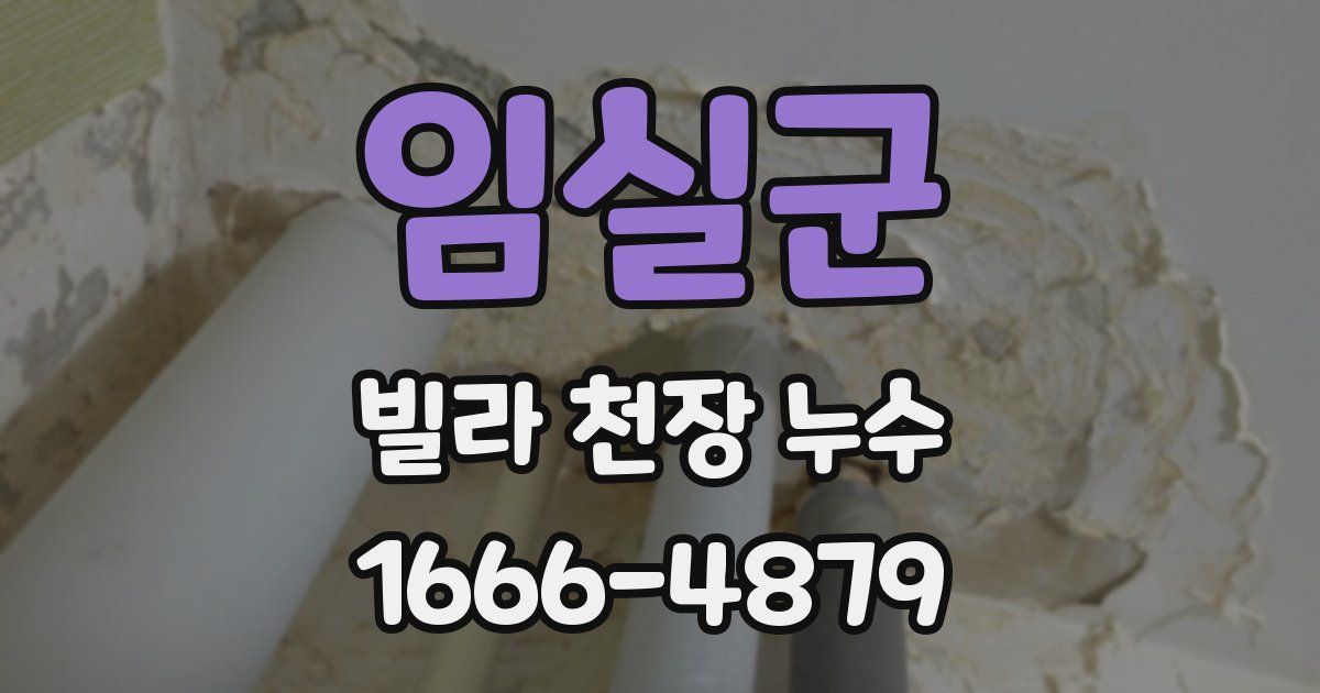 임실군 빌라 천장 누수