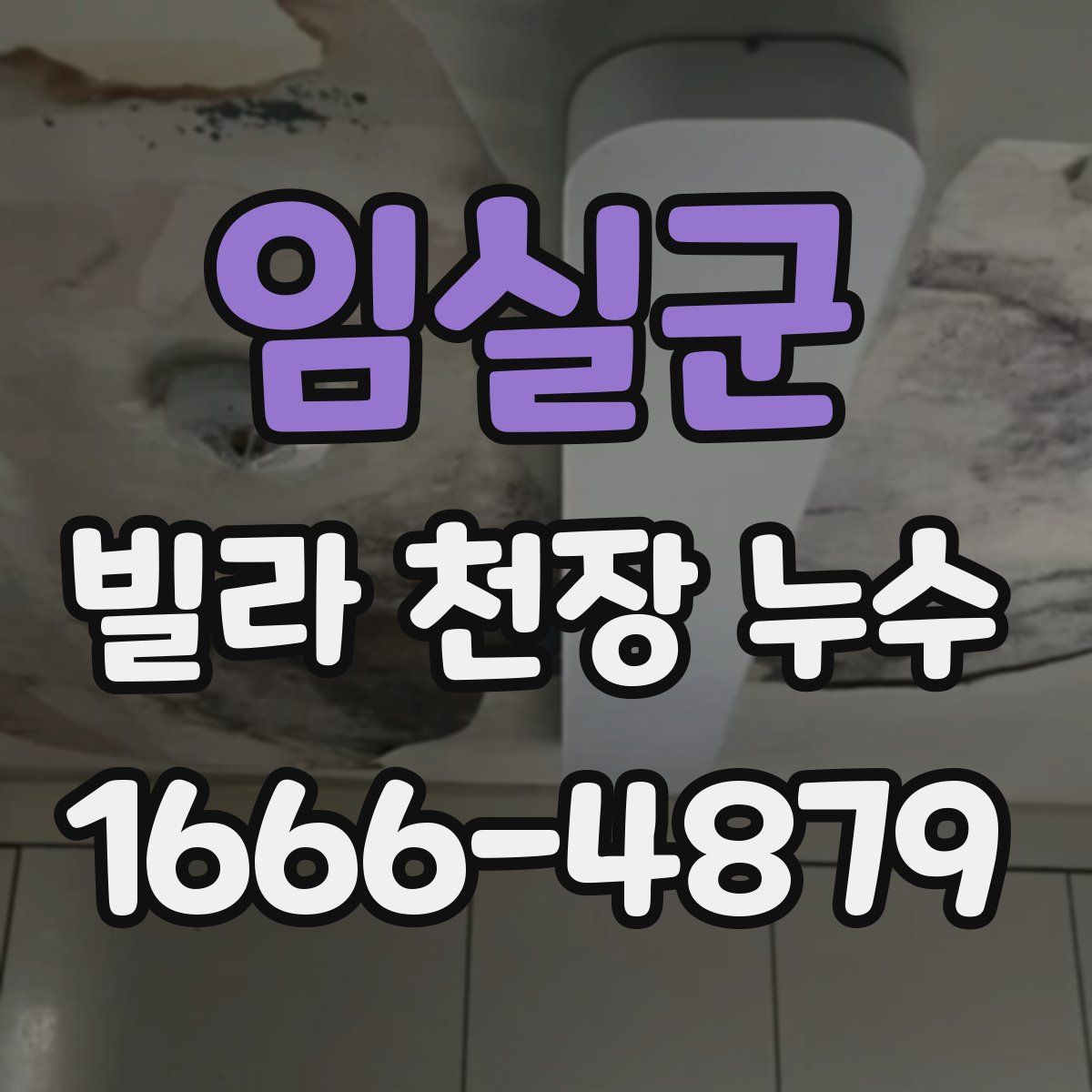 임실군 빌라 천장 누수