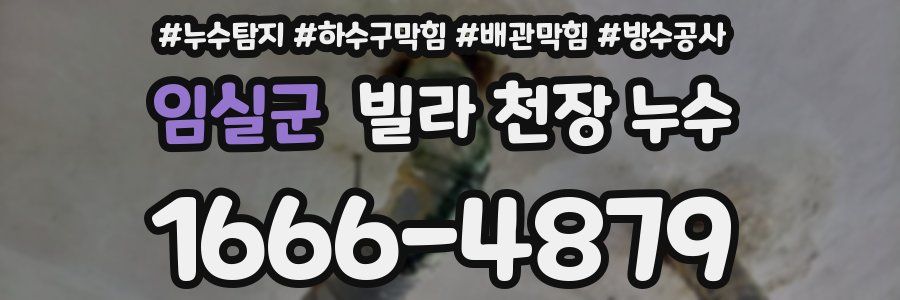 임실군 빌라 천장 누수