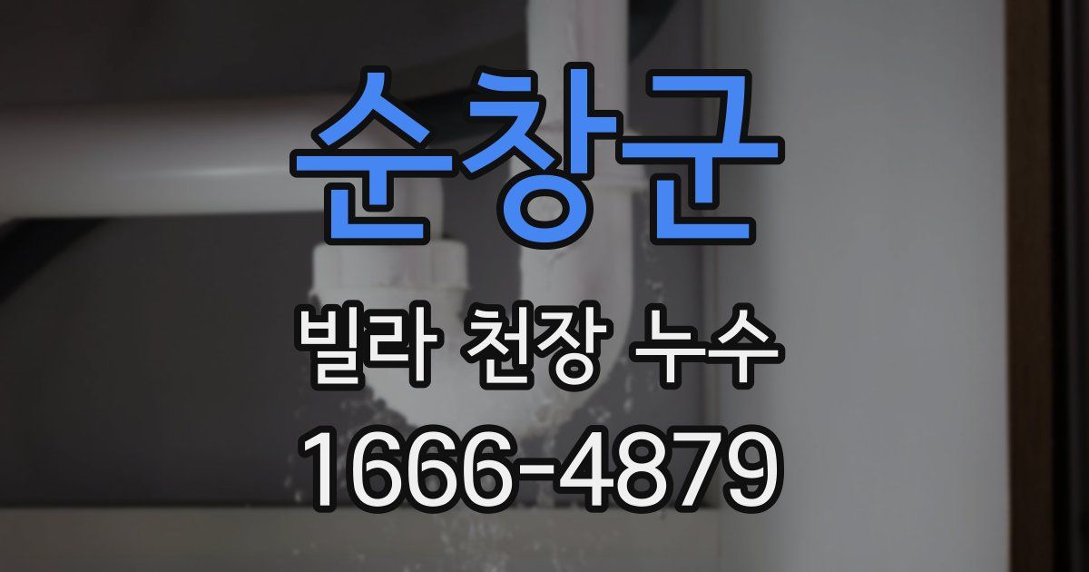순창군 빌라 천장 누수