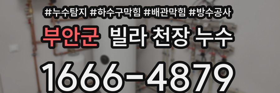 부안군 빌라 천장 누수