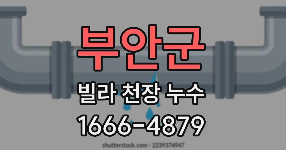 부안군 빌라 천장 누수