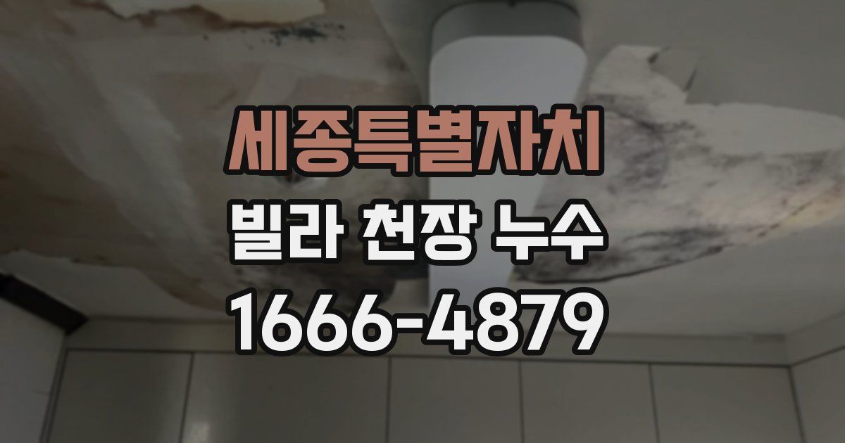 세종특별자치 빌라 천장 누수