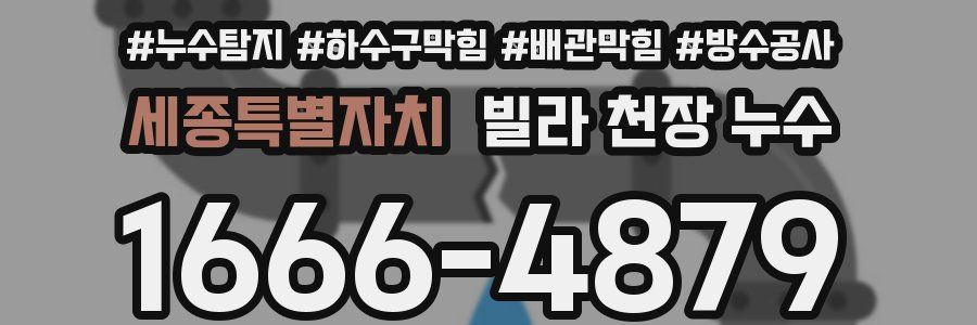 세종특별자치 빌라 천장 누수