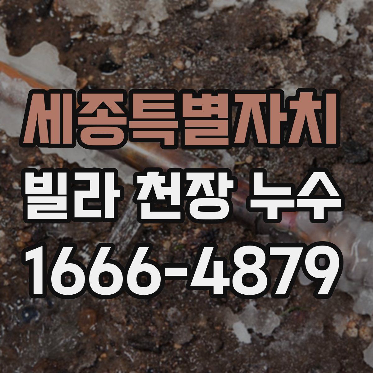 세종특별자치 빌라 천장 누수