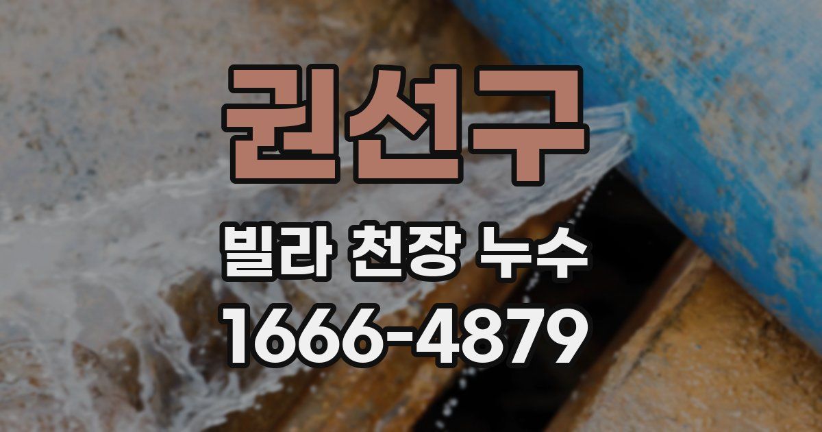 권선구 빌라 천장 누수