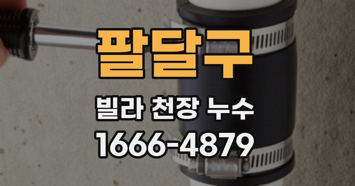 팔달구 빌라 천장 누수