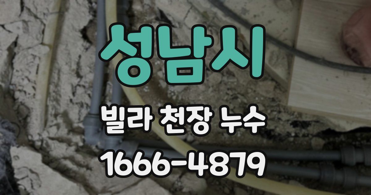 성남시 빌라 천장 누수
