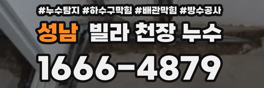 성남 빌라 천장 누수