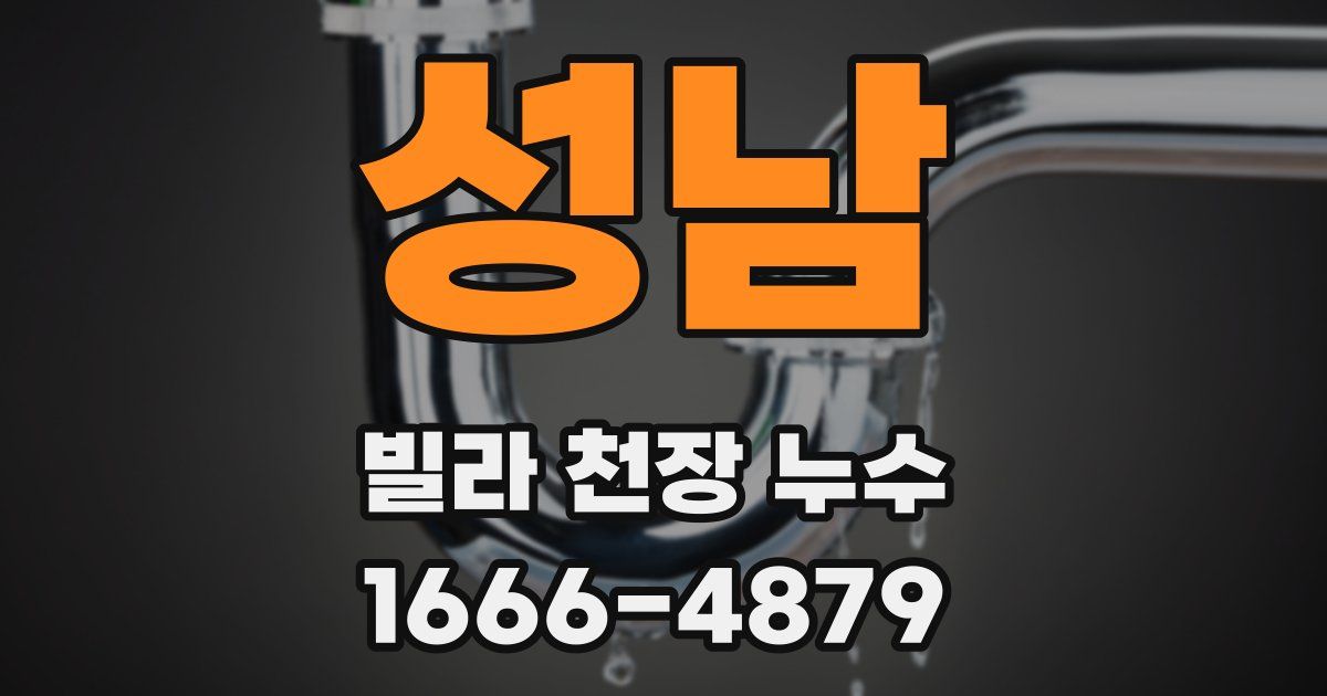 성남 빌라 천장 누수