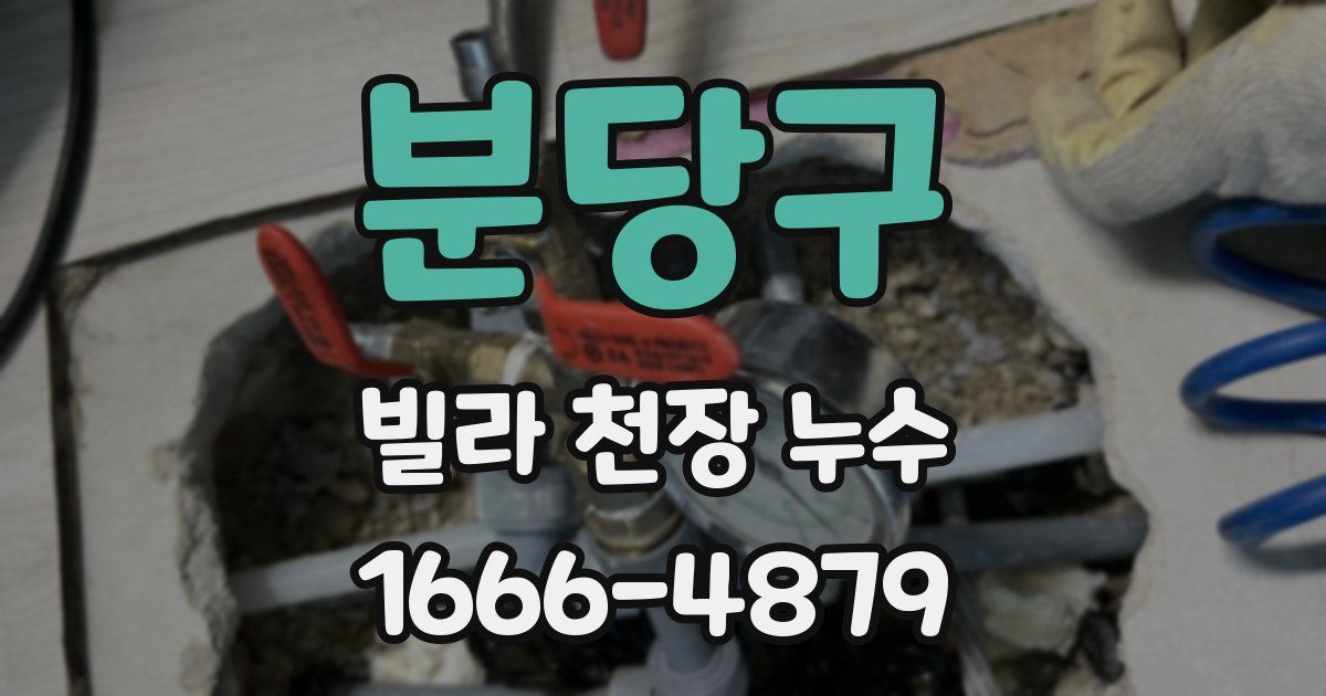 분당구 빌라 천장 누수
