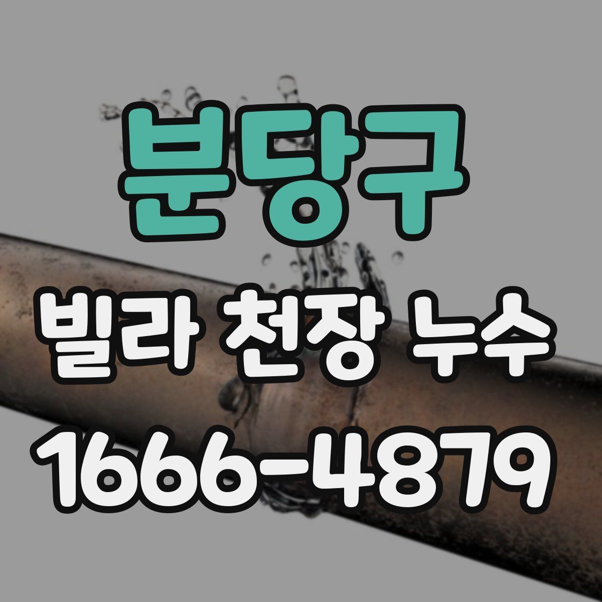 분당구 빌라 천장 누수