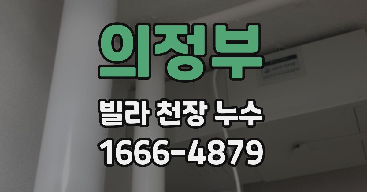 의정부 빌라 천장 누수