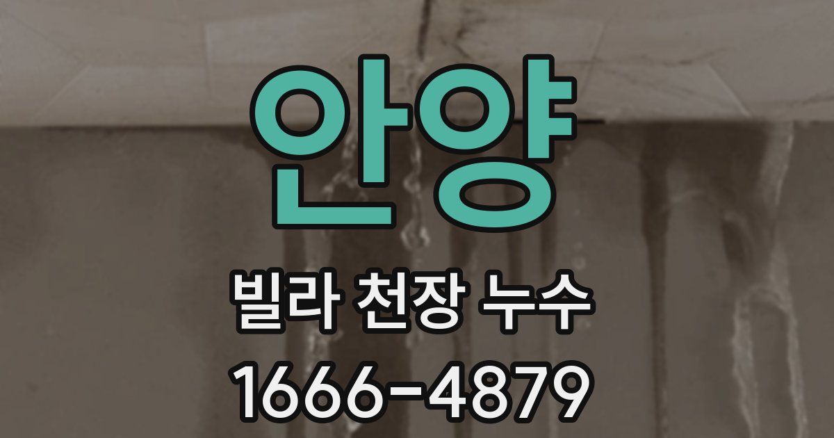 안양 빌라 천장 누수