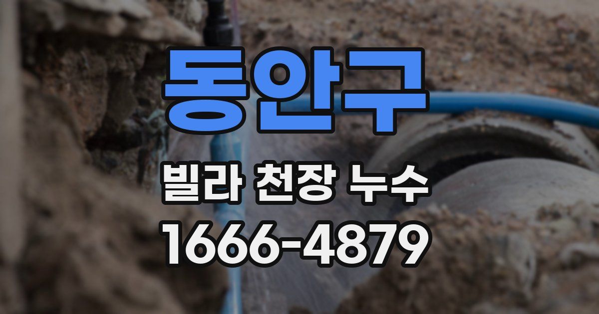 동안구 빌라 천장 누수