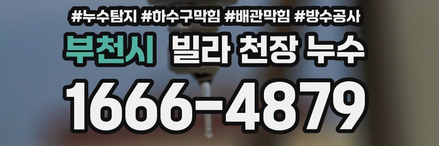 부천시 빌라 천장 누수