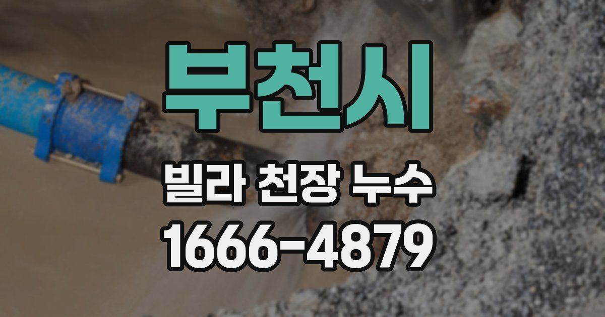 부천시 빌라 천장 누수