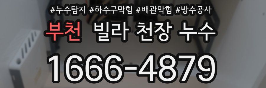부천 빌라 천장 누수
