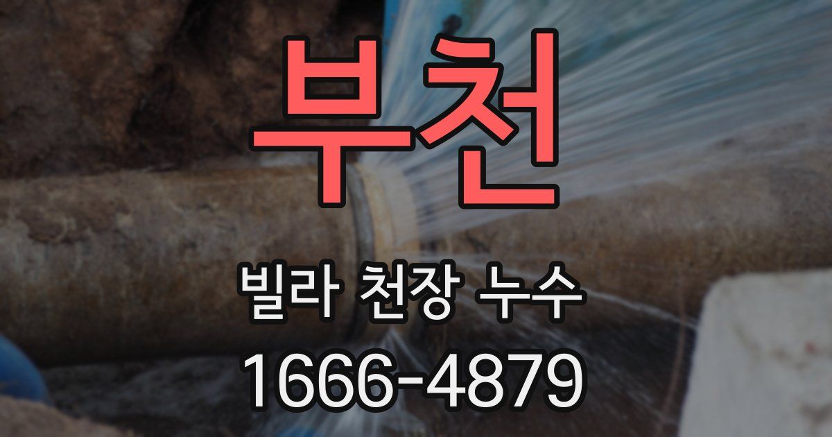 부천 빌라 천장 누수