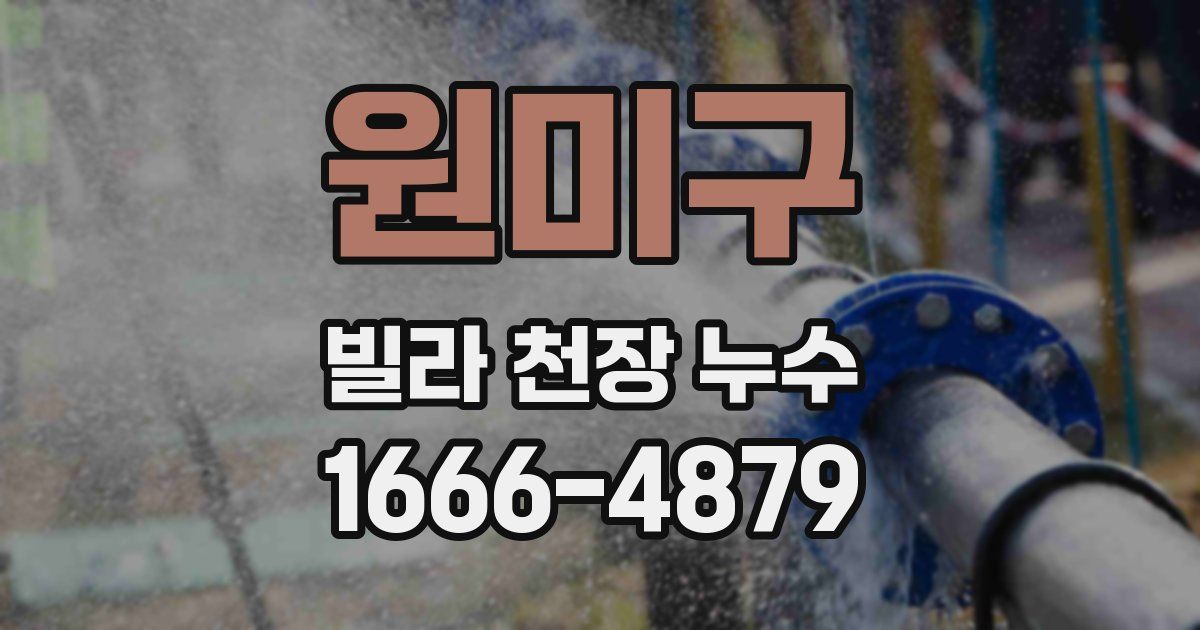 원미구 빌라 천장 누수