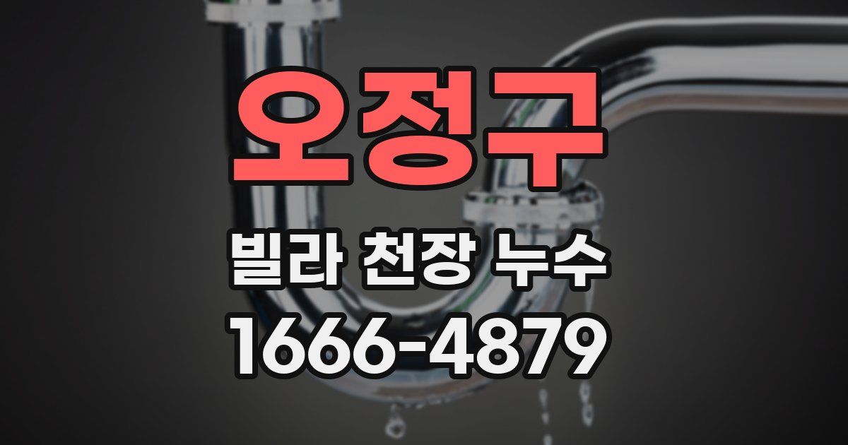 오정구 빌라 천장 누수