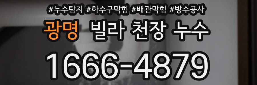 광명 빌라 천장 누수