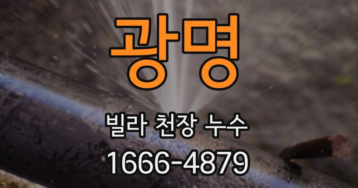 광명 빌라 천장 누수