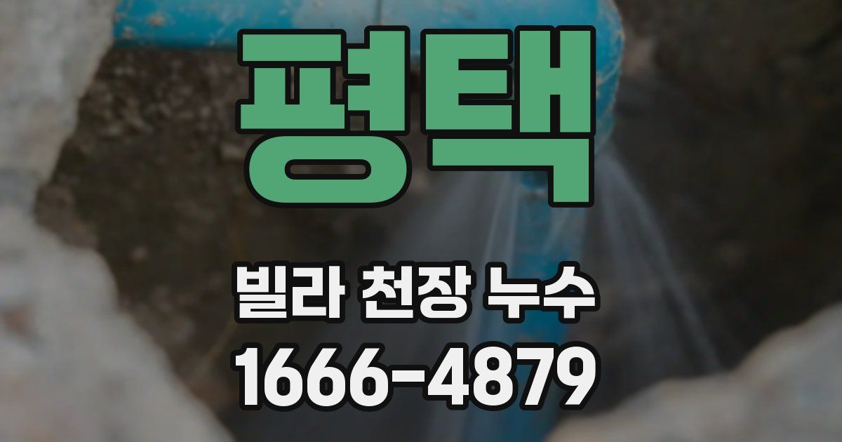 평택 빌라 천장 누수