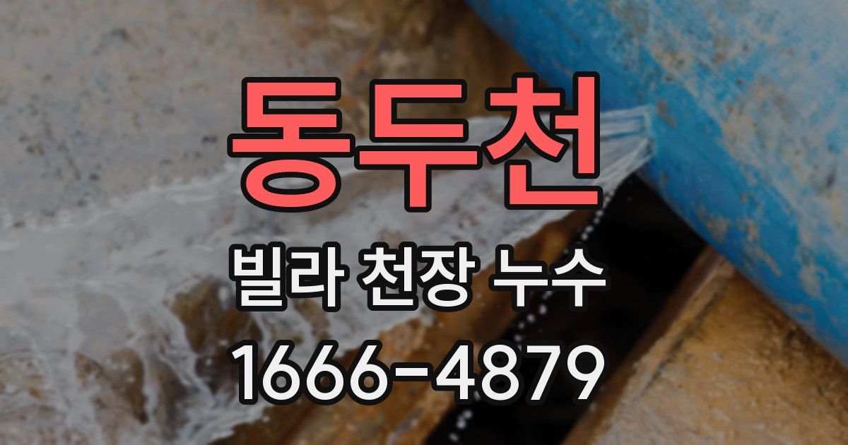 동두천 빌라 천장 누수