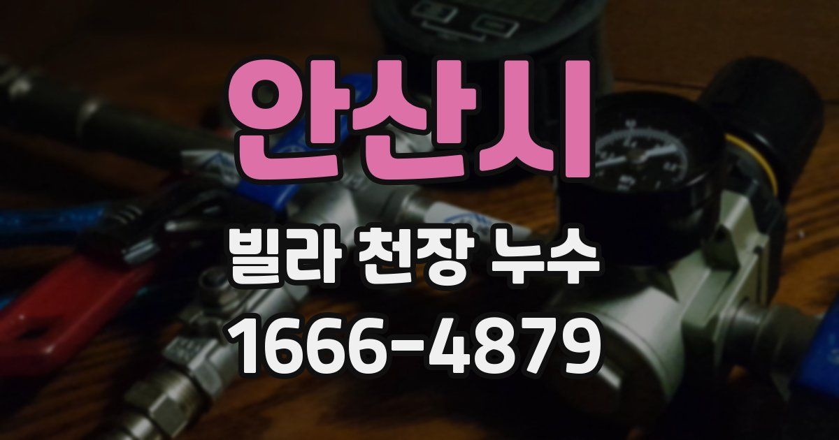 안산시 빌라 천장 누수