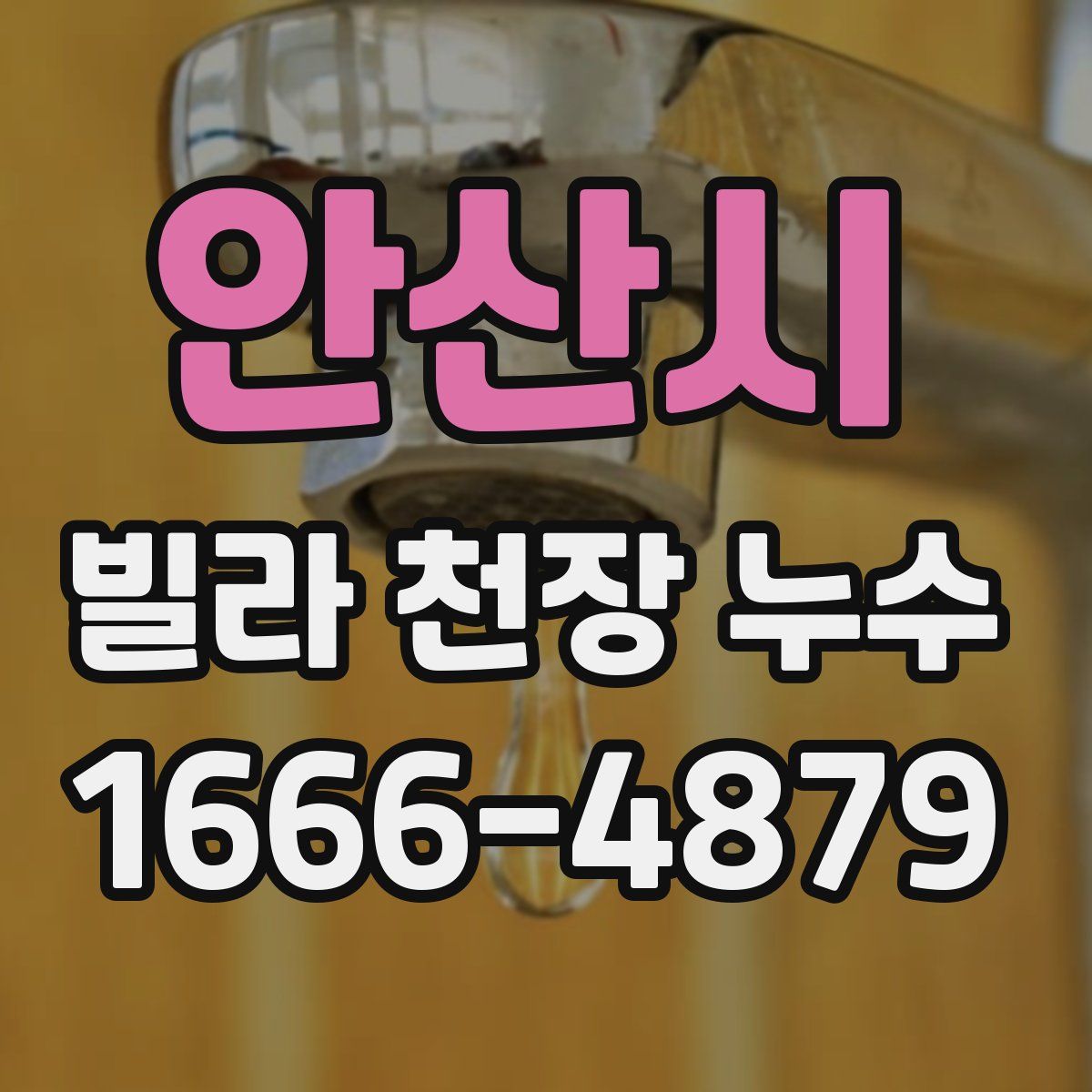 안산시 빌라 천장 누수