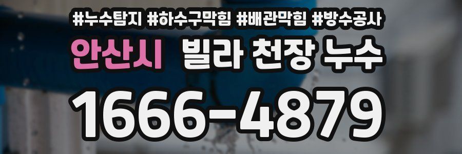 안산시 빌라 천장 누수