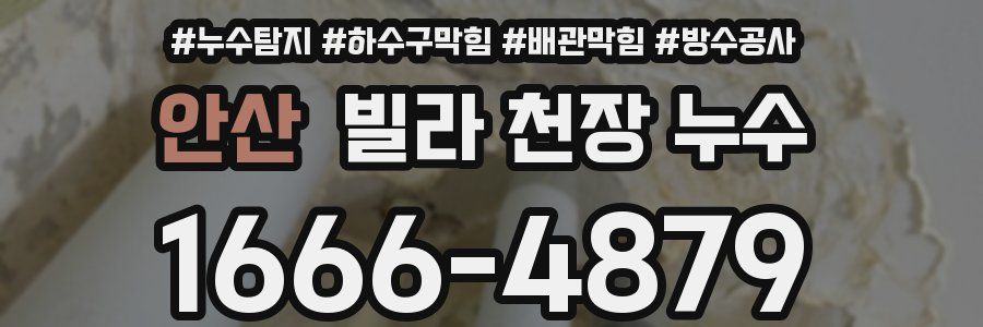 안산 빌라 천장 누수