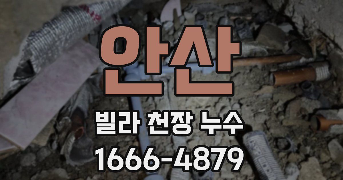 안산 빌라 천장 누수