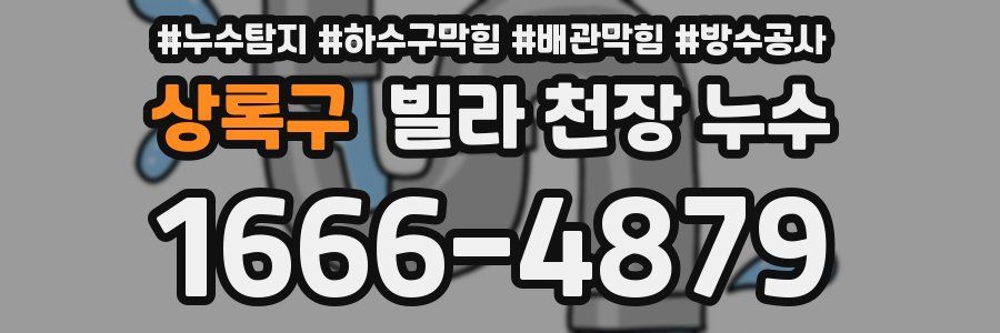 상록구 빌라 천장 누수