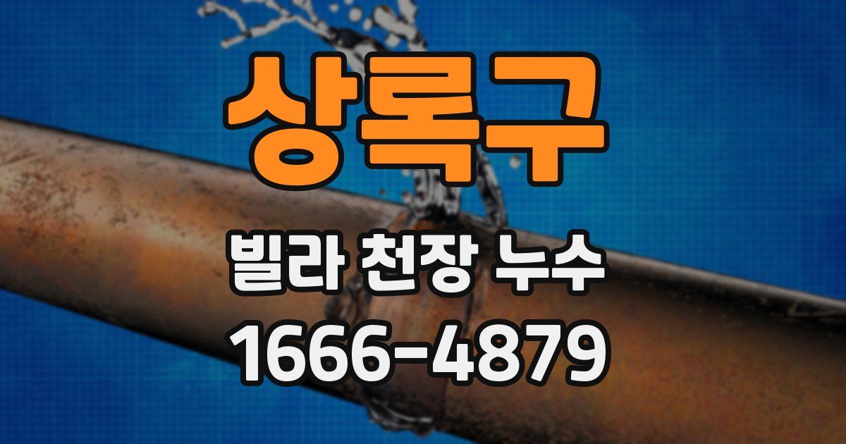 상록구 빌라 천장 누수