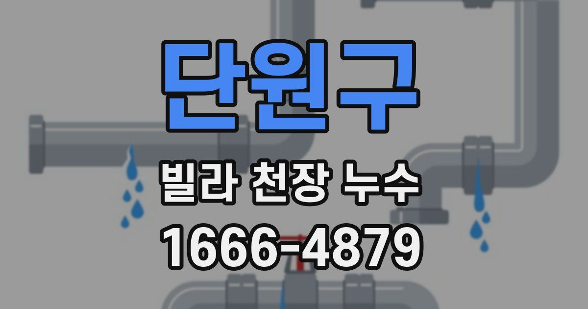 단원구 빌라 천장 누수