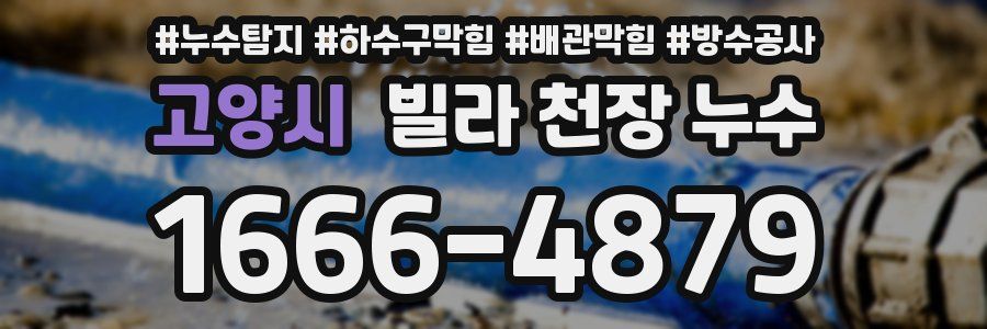 고양시 빌라 천장 누수