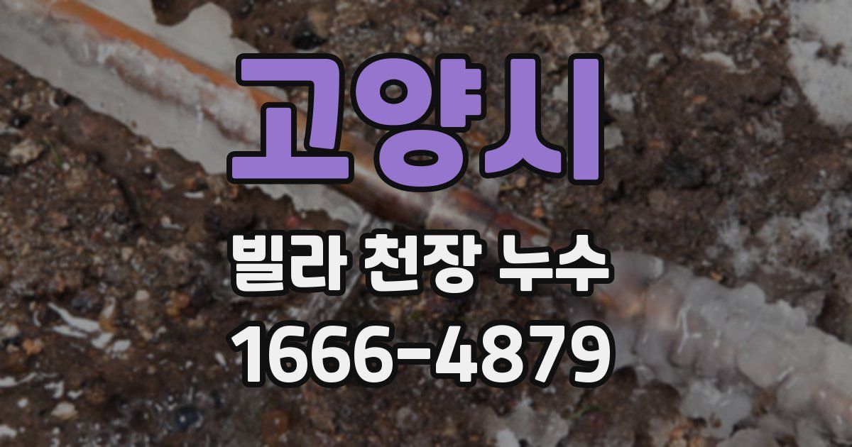 고양시 빌라 천장 누수