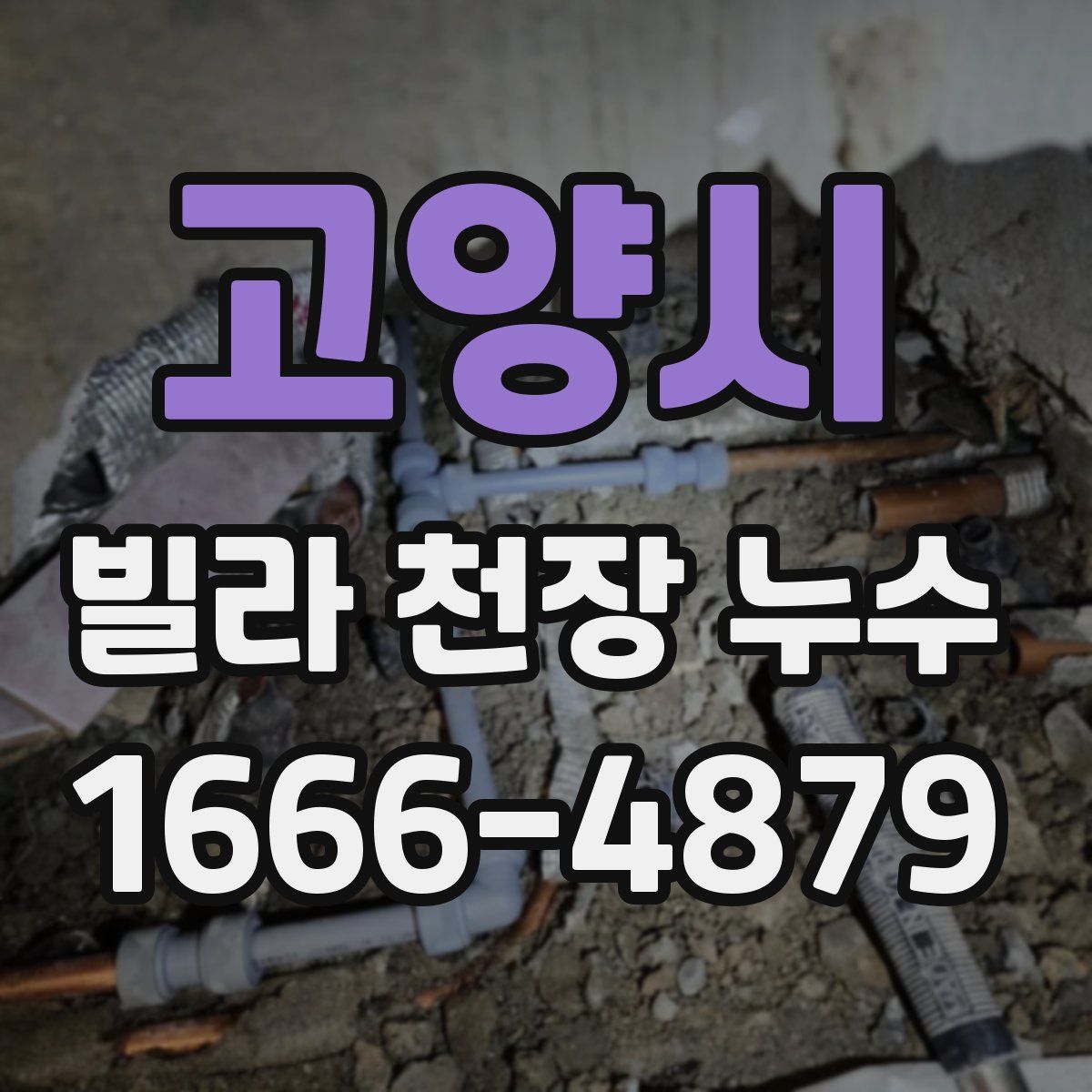 고양시 빌라 천장 누수