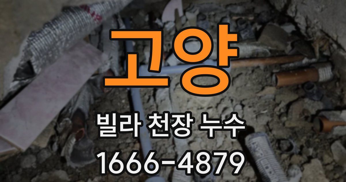 고양 빌라 천장 누수