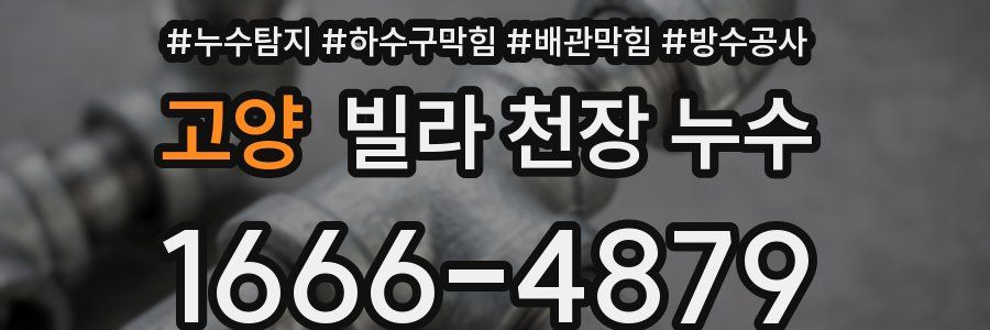 고양 빌라 천장 누수