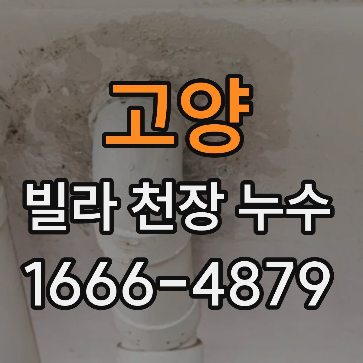 고양 빌라 천장 누수